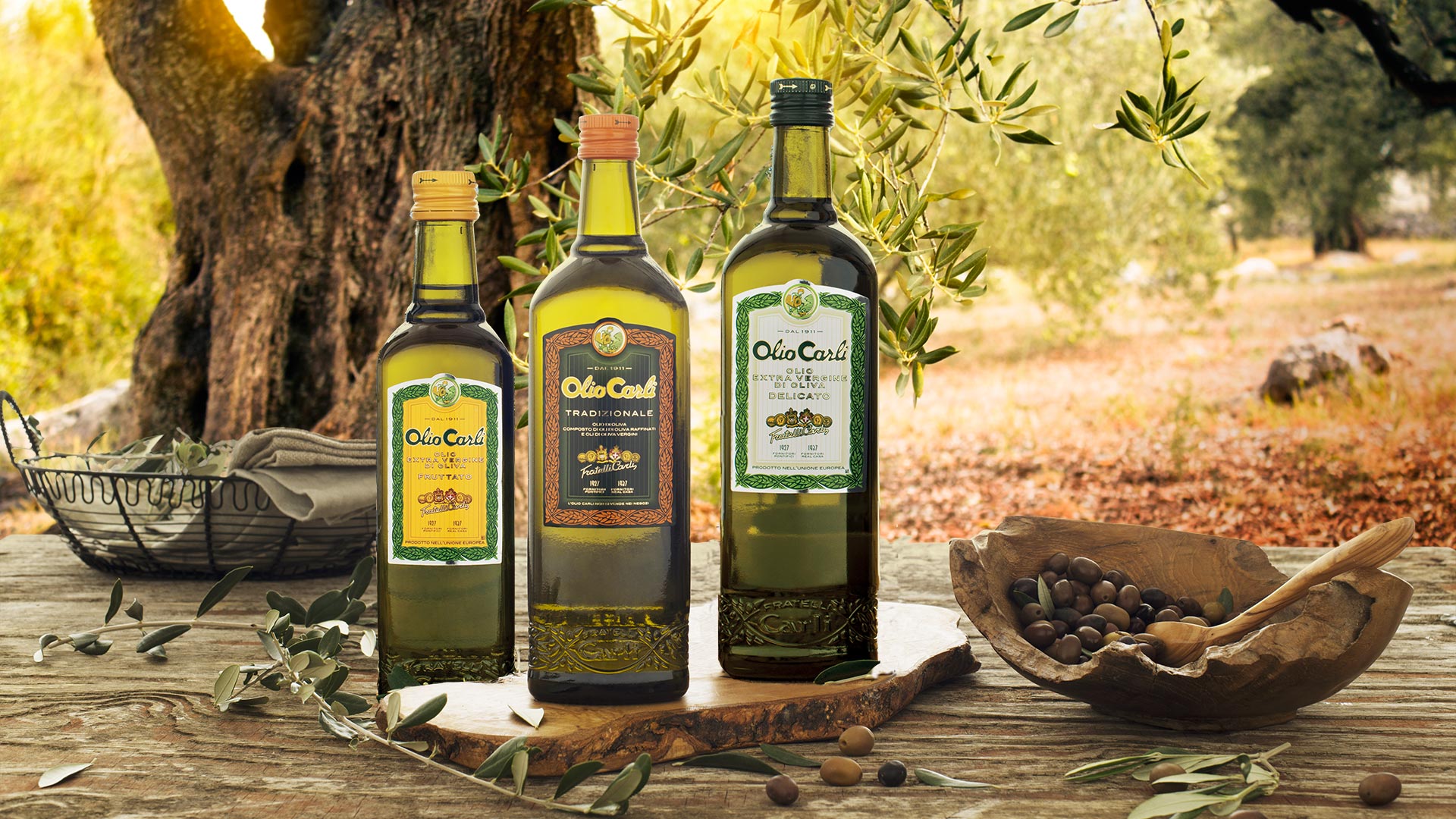 How to store olive oil – Fratelli Carli