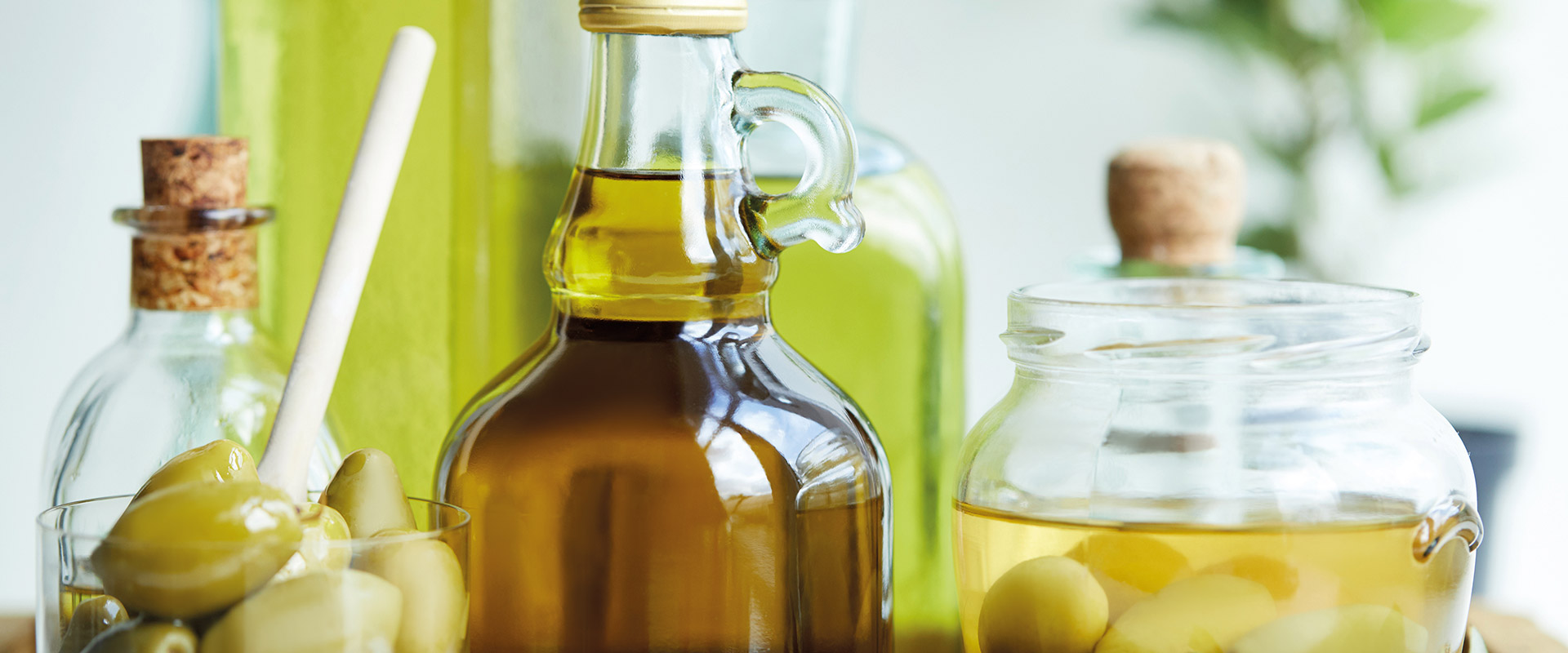 Olive Oil Storage – Fratelli Carli