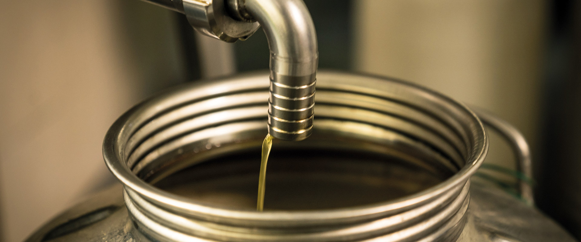 Storing olive oil – Fratelli Carli