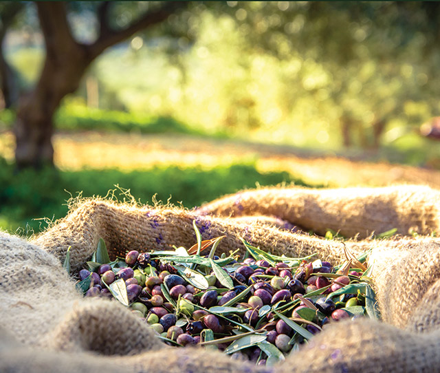 bag of olives
