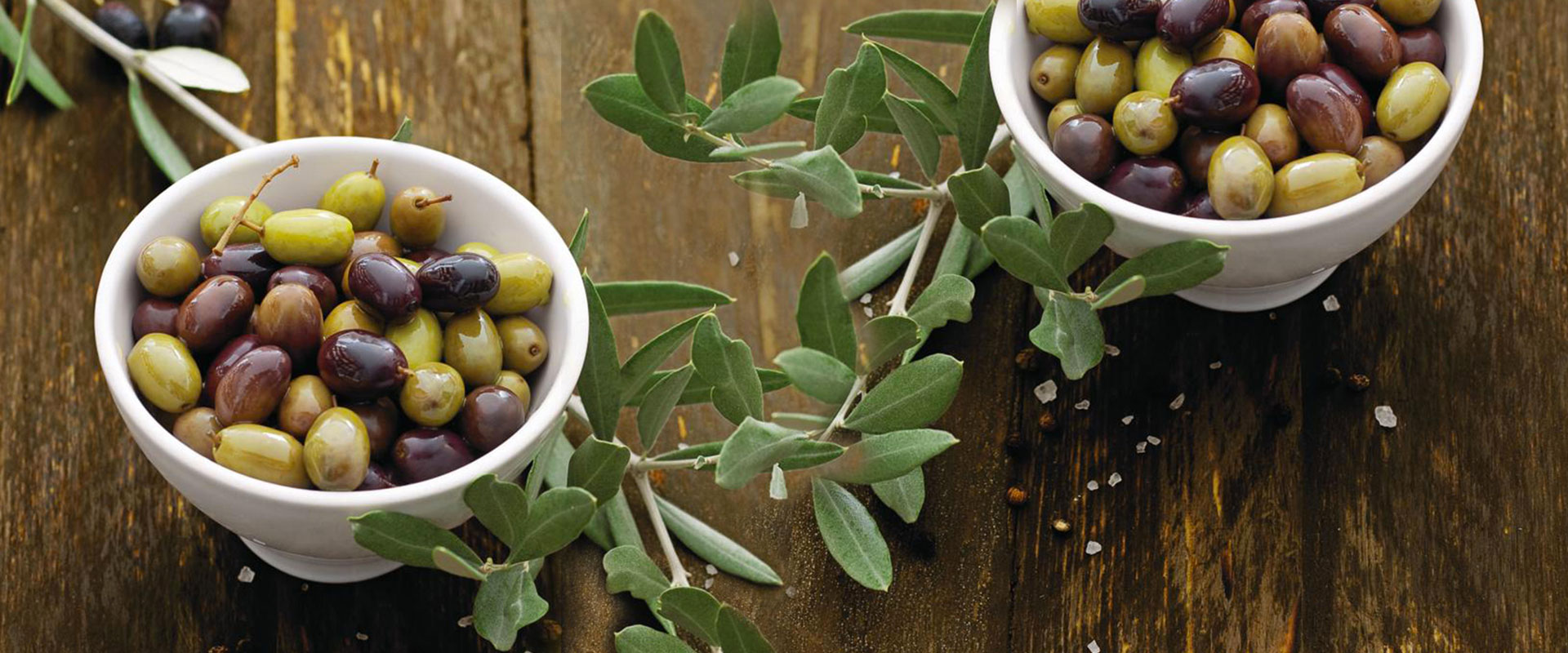 12 types of olives and their characteristics