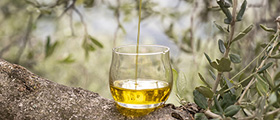 Olive oil tasting glass
