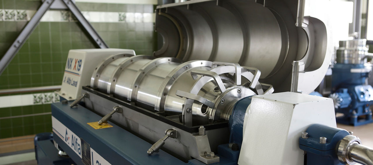 Centrifugation phase at the Fratelli Carli olive mill
