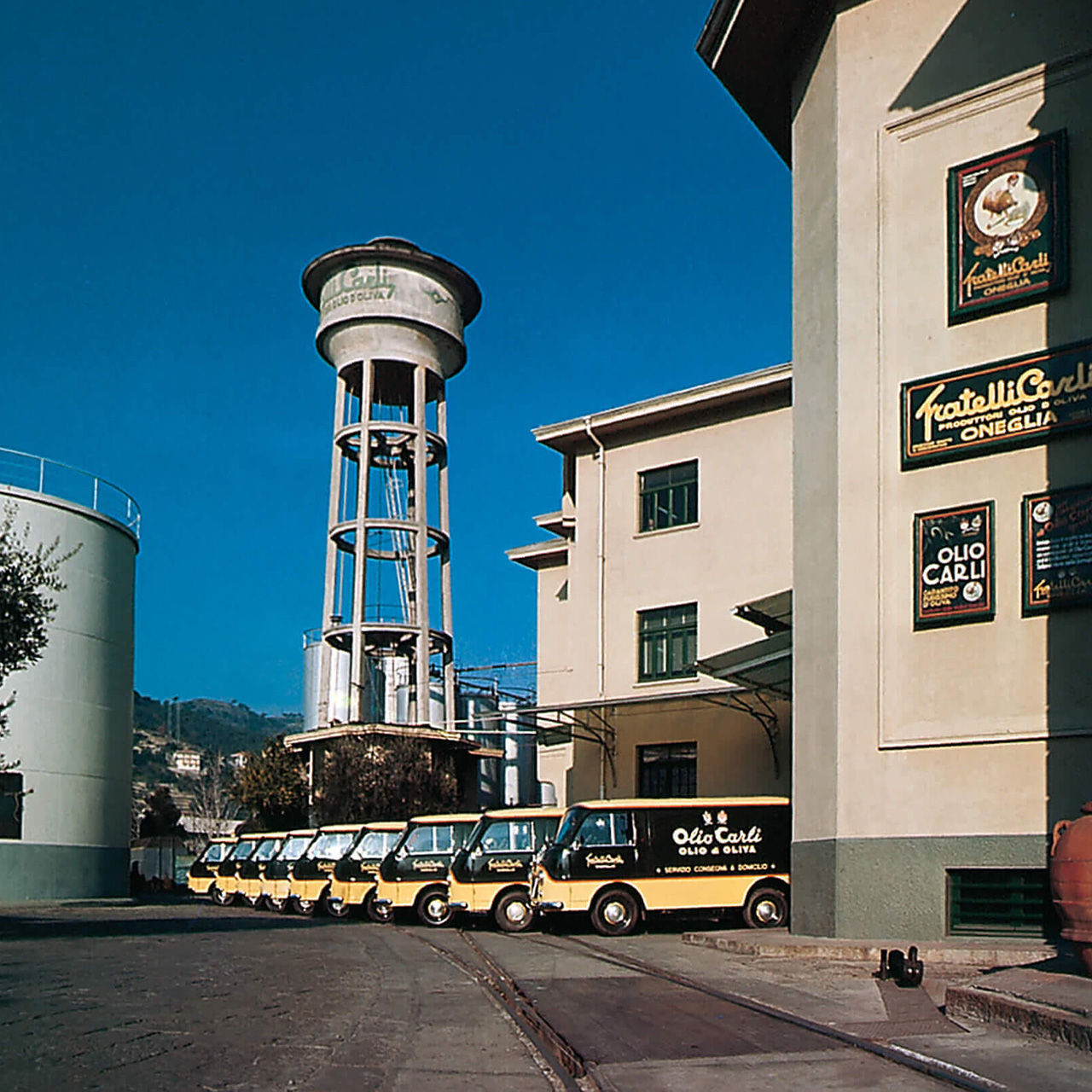Olio Carli Vans 