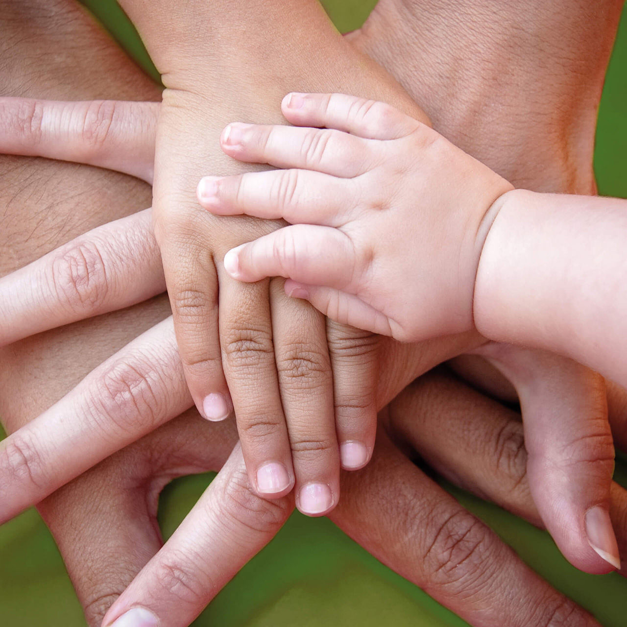 Family Carli's hands