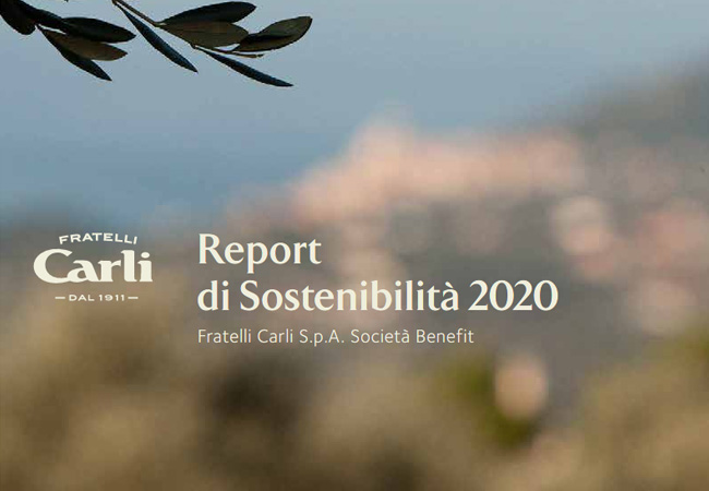 2020 Sustainability Report