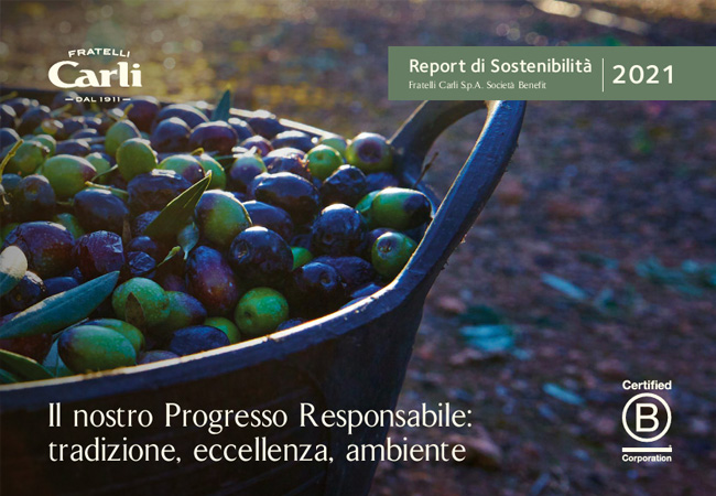 2021 Sustainability Report