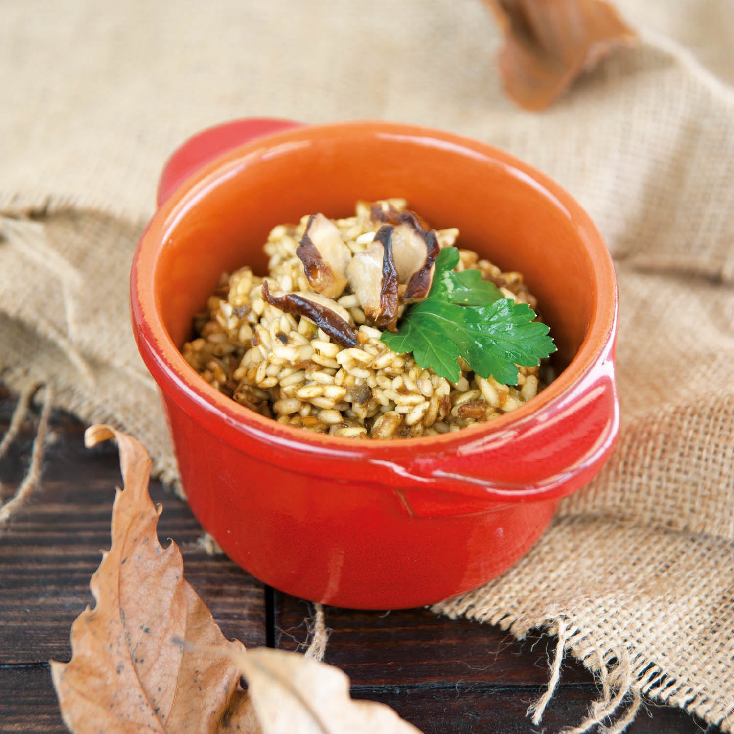 Porcini Mushroom Risotto