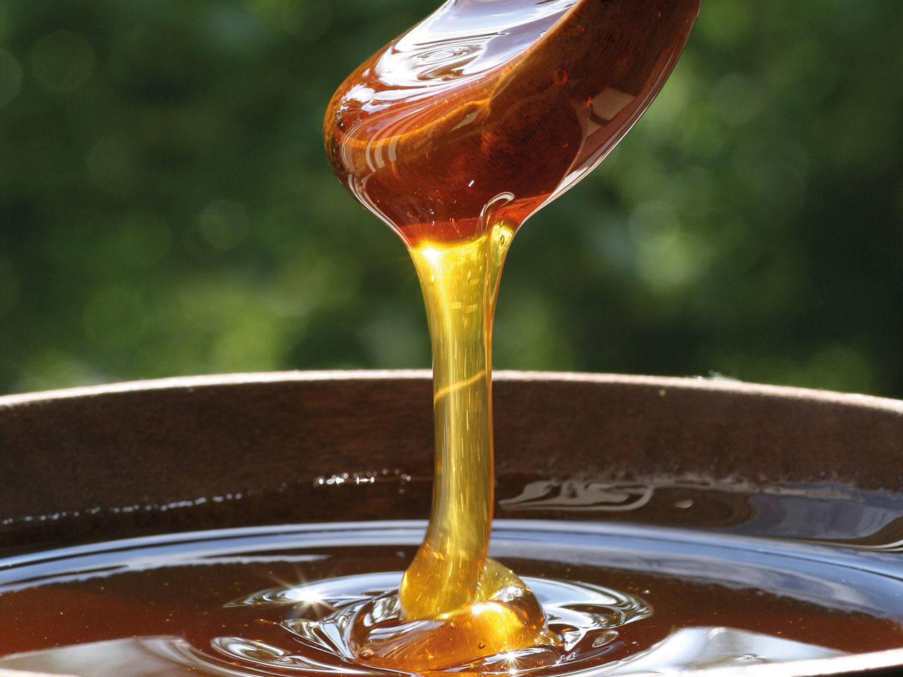 acacia honey