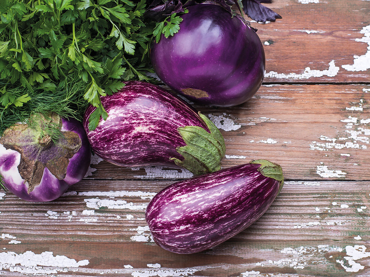 eggplants
