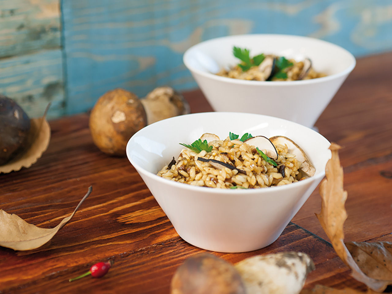 Porcini Mushroom Risotto